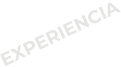 EXPERIENCIA